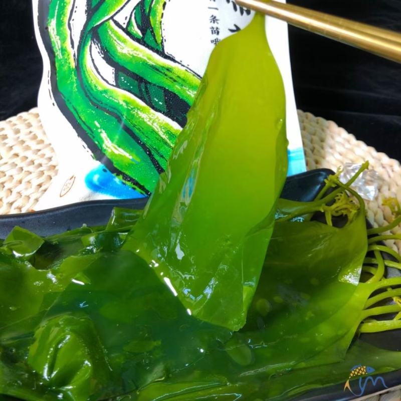 海带苗海带鲜海带苗