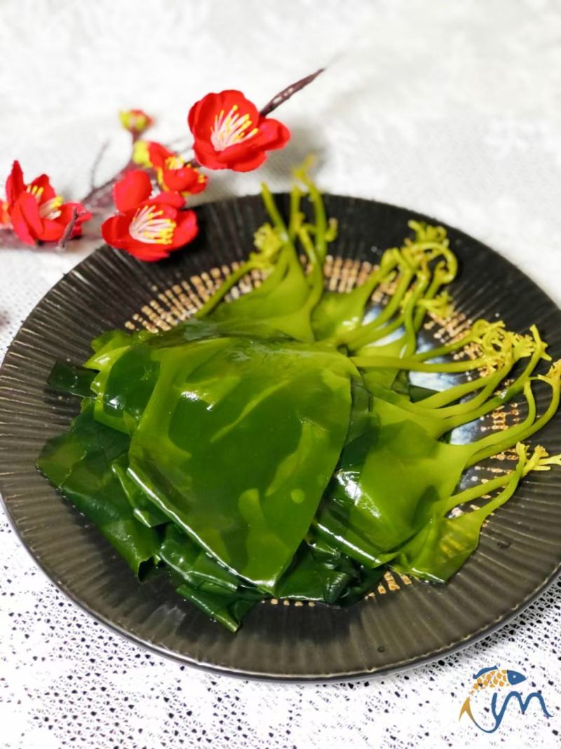 海带苗海带鲜海带苗