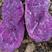 云南山地紫薯品质好淀粉含量高，香软粉糯，电商加工厂适用。