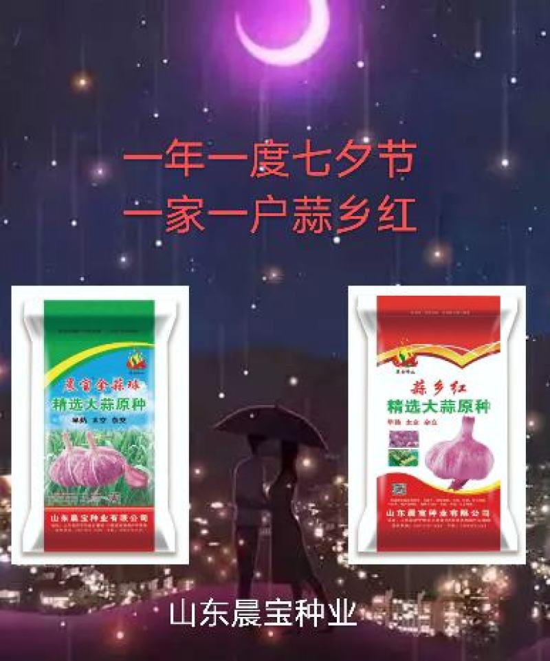 大蒜种子：晨宝蒜乡红十晨宝金蒜球，早熟太空，优质高产。