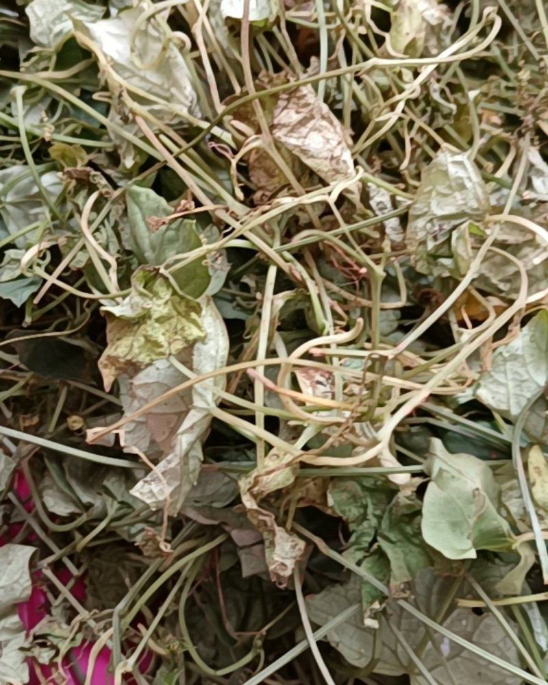 云南天然无硫自然晒干药食同源野生小西瓜藤