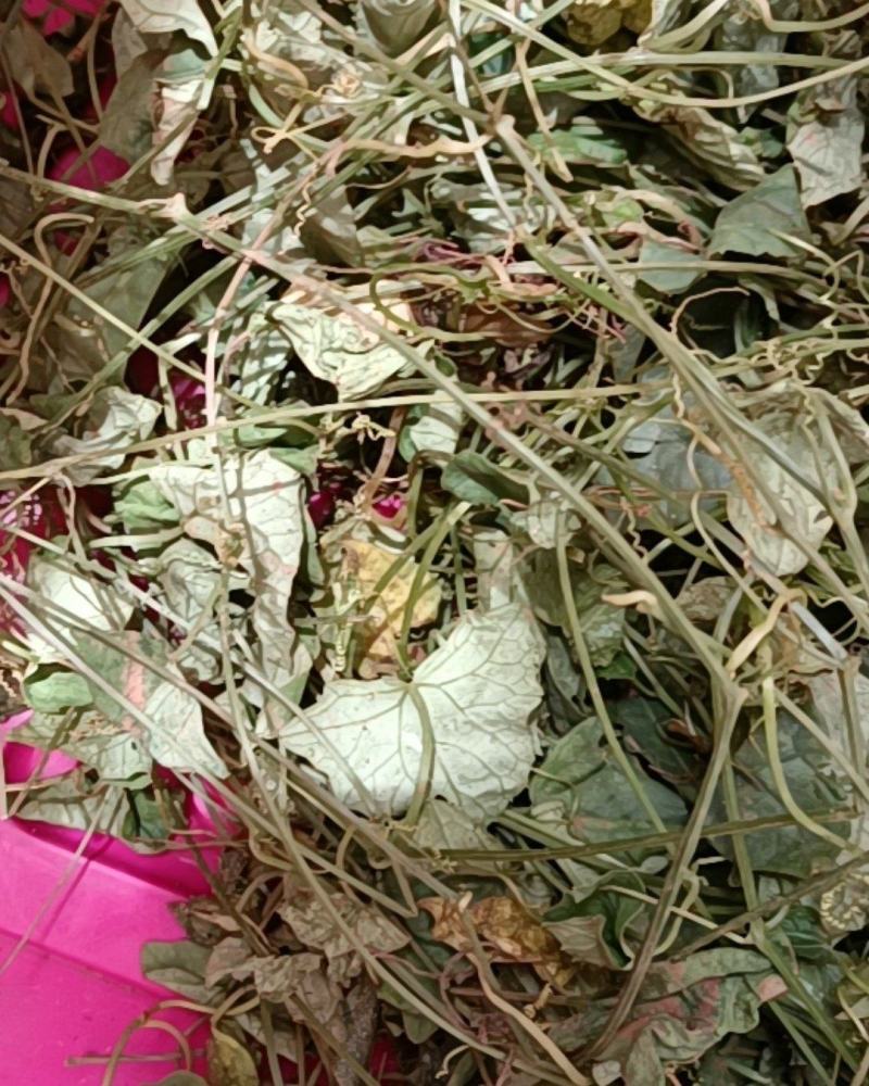 云南天然无硫自然晒干药食同源野生小西瓜藤
