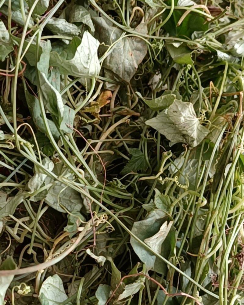 云南天然无硫自然晒干药食同源野生小西瓜藤