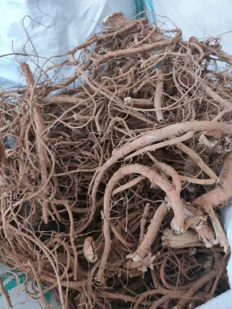 云南十万大山山豆根