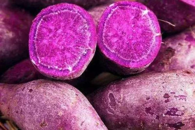 原产地精品紫薯西瓜红实价供应无虫眼无裂口市场货电商货