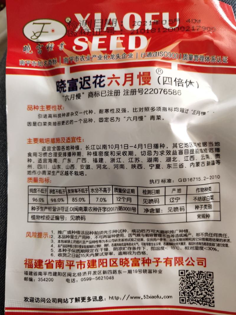 迟花六月慢青菜种子，耐寒性极强，