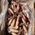 海兔笔管鱼满籽半籽无籽籽玉小笔管质量好价格低视频看货