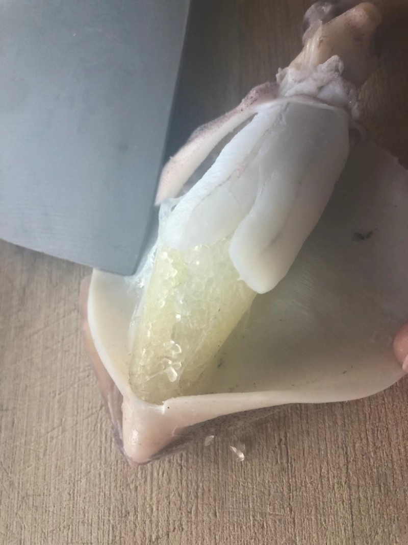 海兔笔管鱼满籽半籽无籽籽玉小笔管质量好价格低视频看货