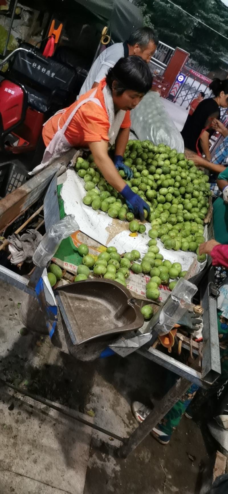 青皮核桃