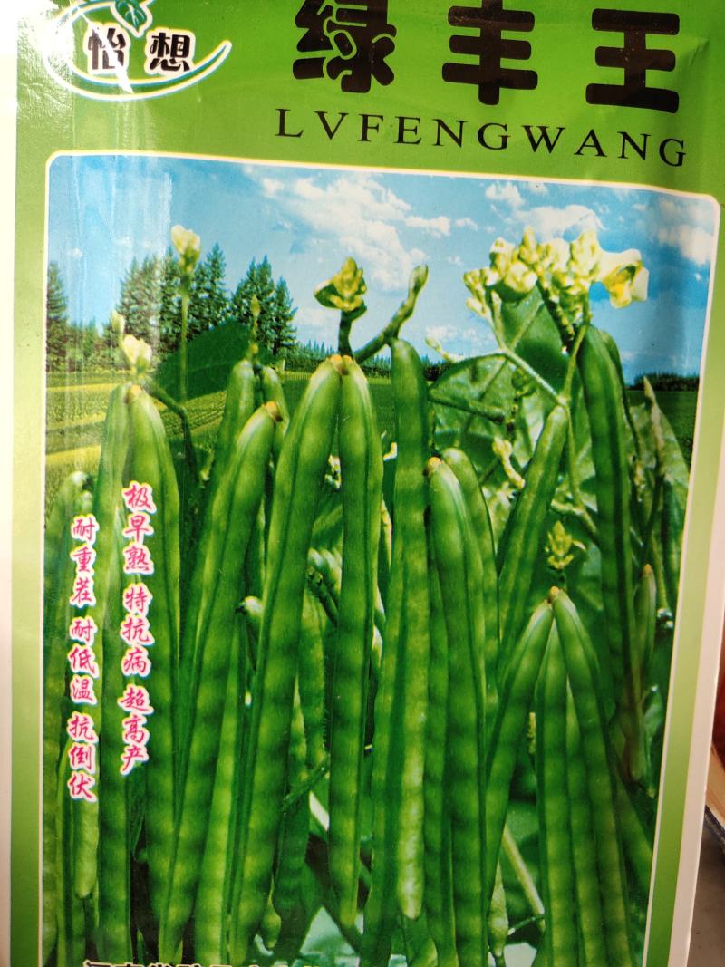 早熟绿豆，抗病超高产，耐胸茬、抗倒伏，