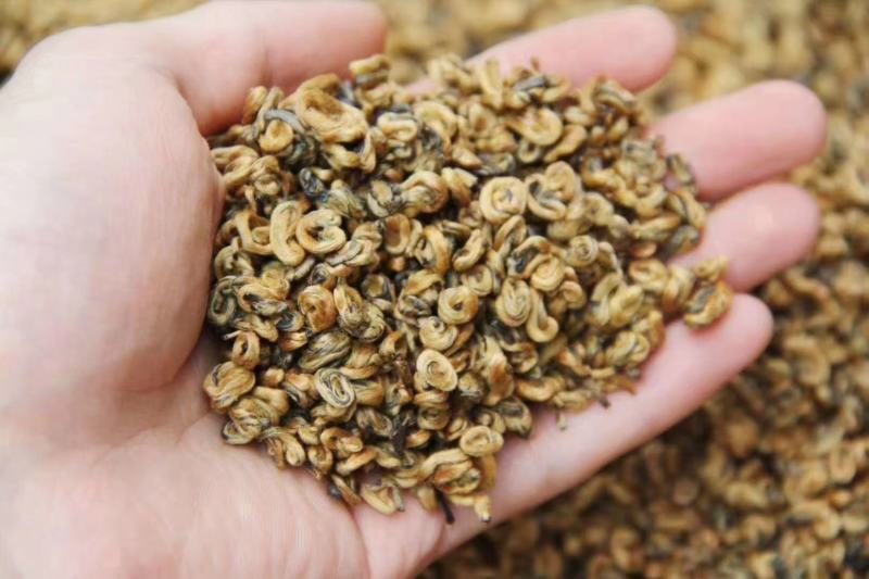 红茶云南滇红茶金螺一手货源包邮