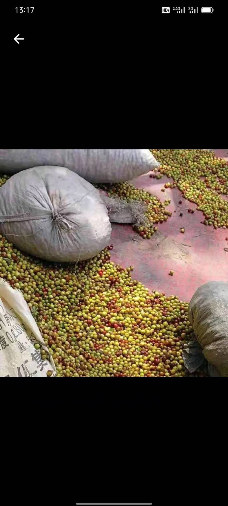 酸枣