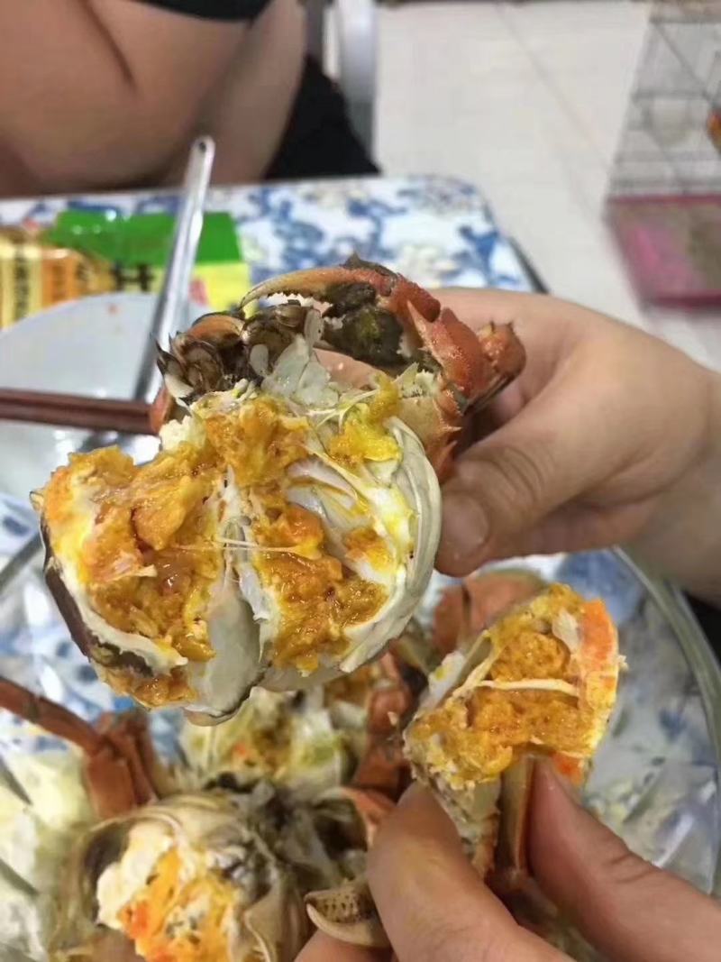 盘锦河蟹一元蟹老头蟹大量上市一次合作终身朋友