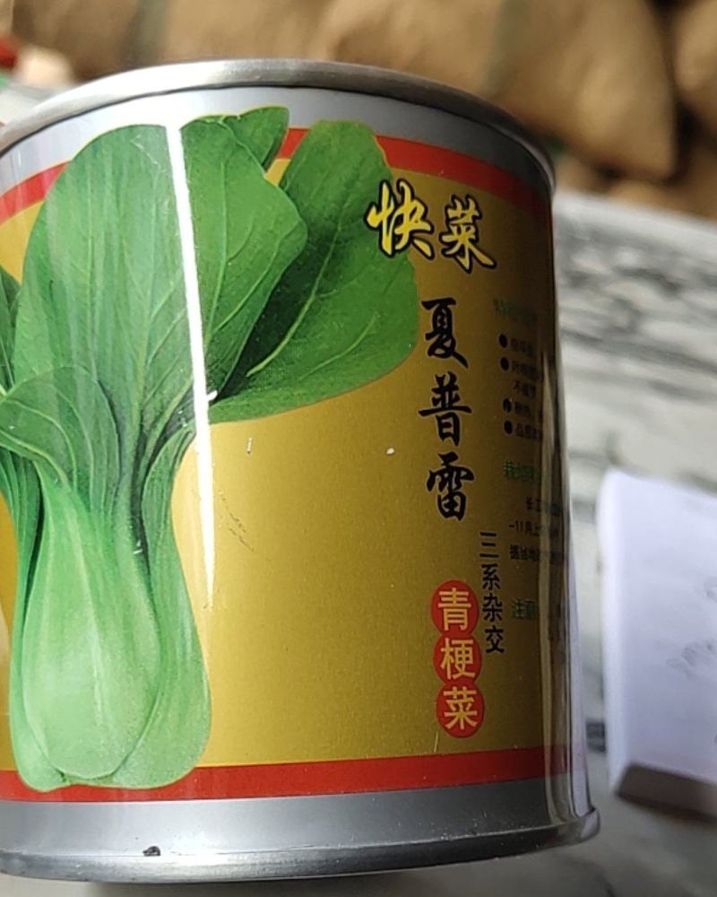 快菜夏普雷种子，青梗快菜，生长快速耐热抗逆性强，