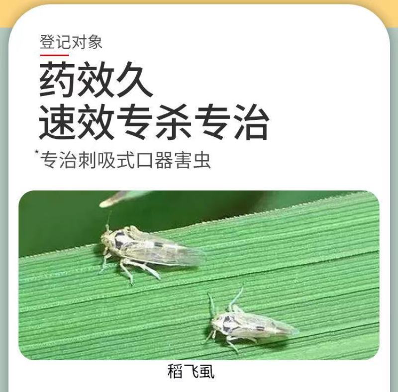 50%烯啶虫胺杀虫剂专杀稻飞虱内吸渗透强持效