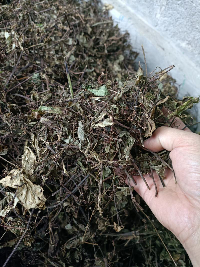 三叶青藤干货金线吊葫芦藤干货一手货源无任何添加剂