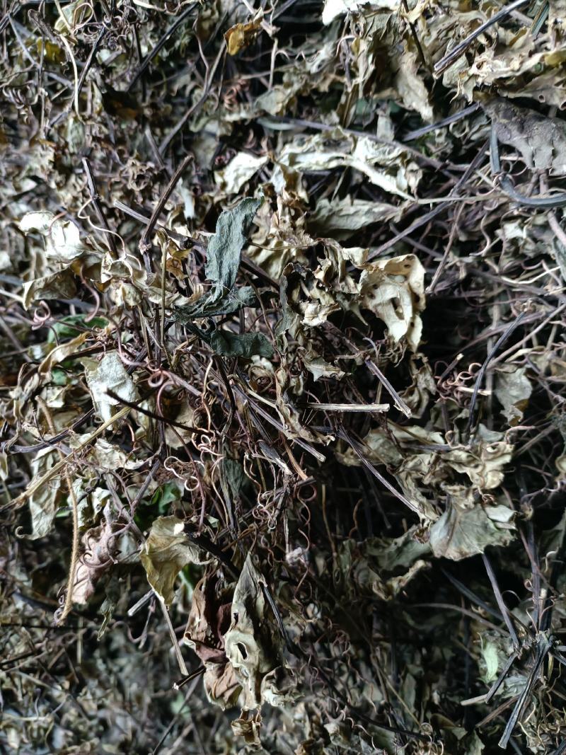 三叶青藤干货金线吊葫芦藤干货一手货源无任何添加剂