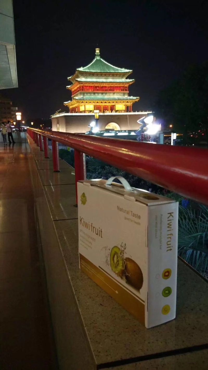 陕西周至绿心亚特猕猴承接代办整车一件代发电商对接