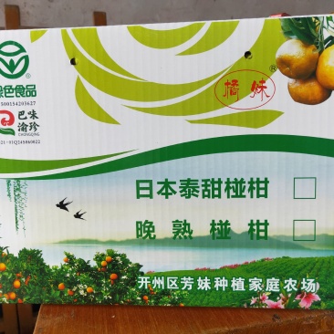 椪柑