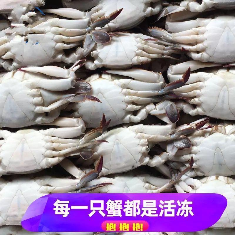 梭子蟹活冻蟹梭子蟹鲜速冻海蟹青蟹毛重10斤/箱50只左右