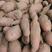 精品龙九红薯，大量有货，沙土地址，商超品质，全国代发