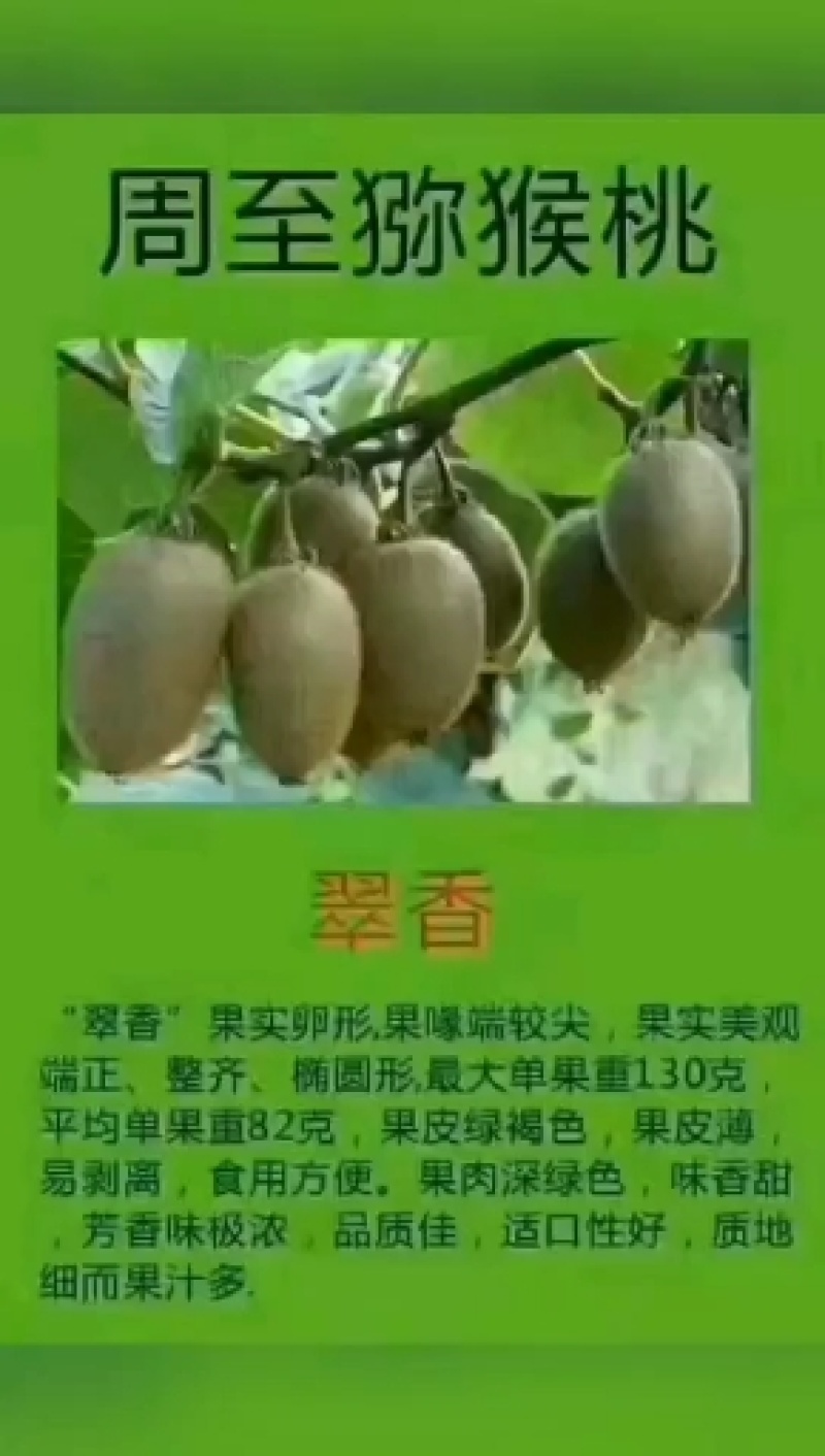 产地直发，质量保证，猕猴桃