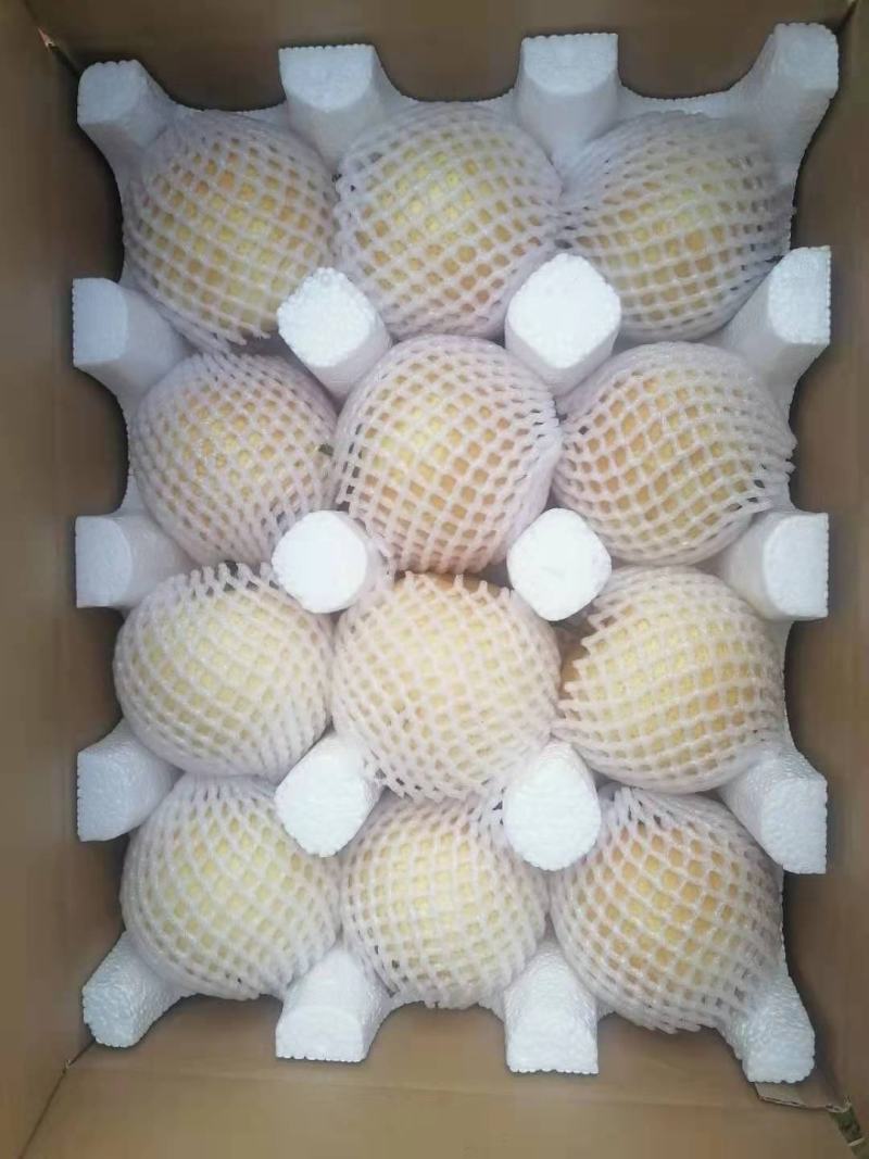 万亩黄金梨大量上市，常年供应！！！！！