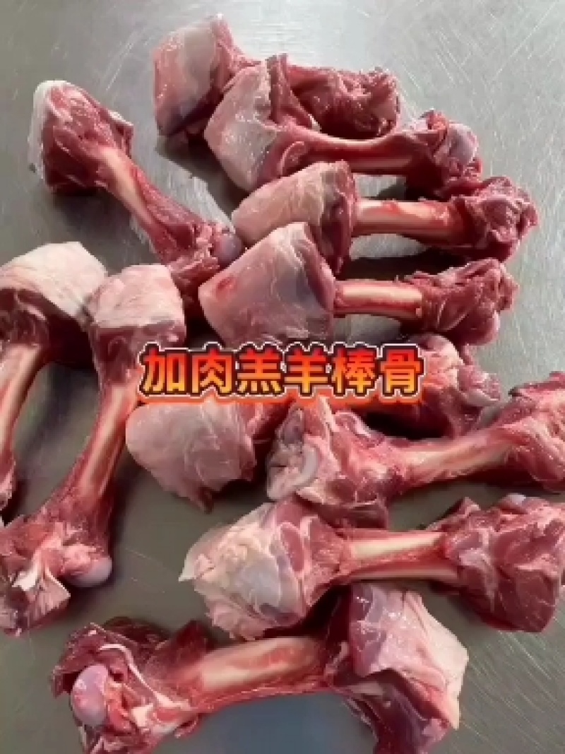 新鲜羔羊羊排，羊蝎子，羊肉卷，加肉棒骨每天出新货