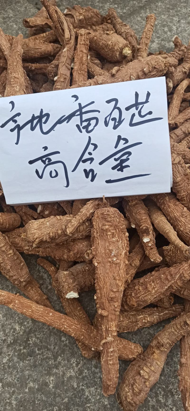 红皮白芷