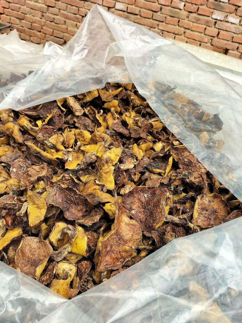 出售鲜磨，干蘑