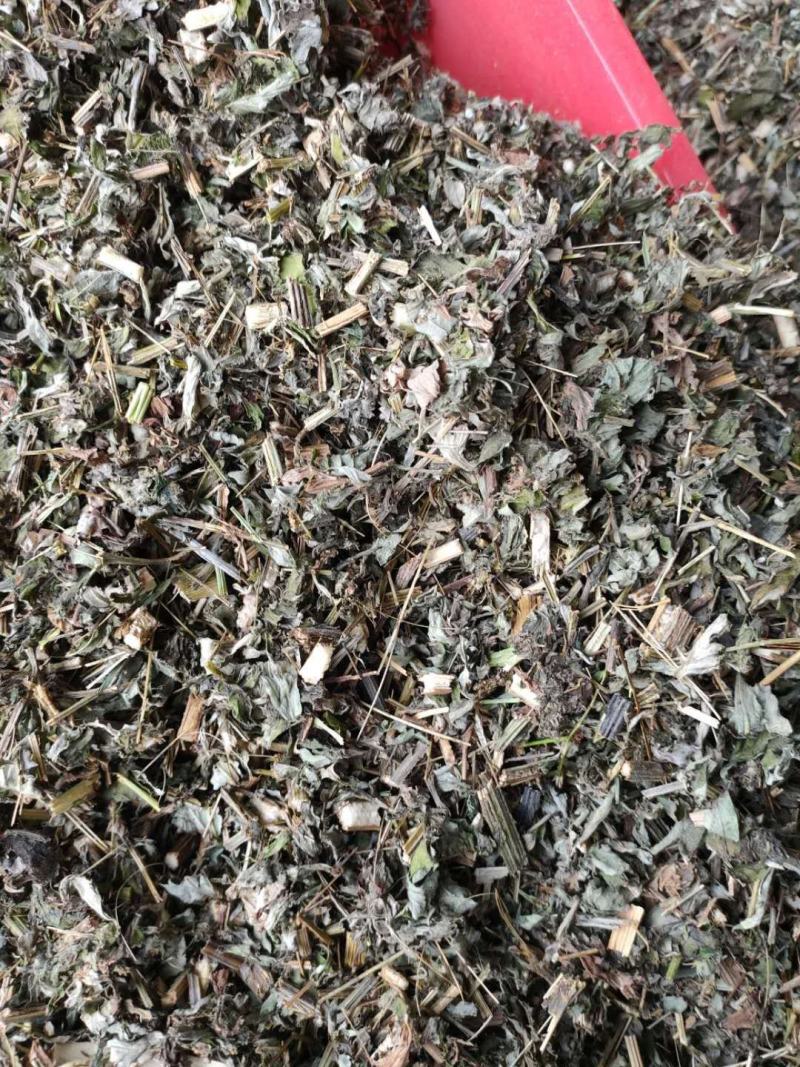 艾叶全课切断足浴包专用刀口保证质量纯前期货