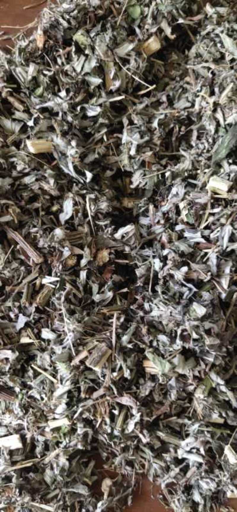 艾叶全课切断足浴包专用刀口保证质量纯前期货