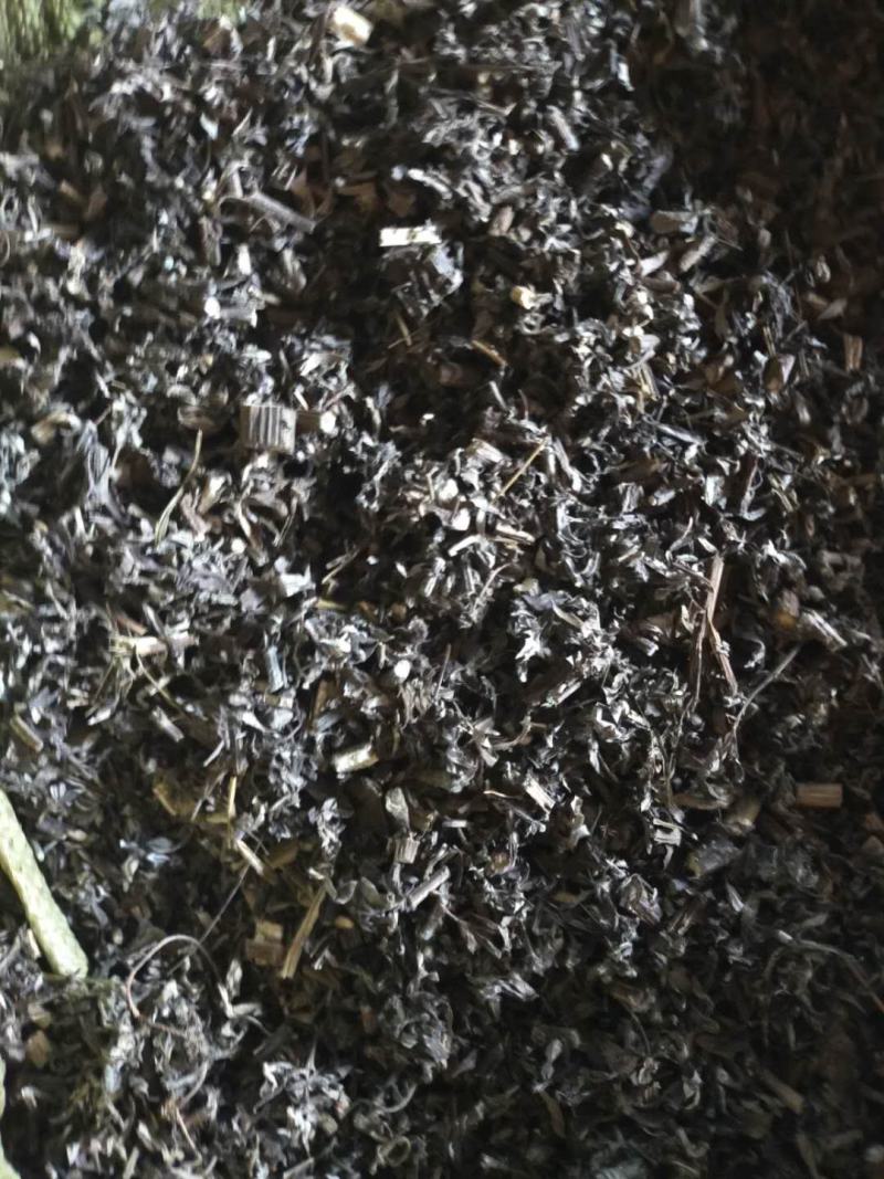艾叶全课切断足浴包专用刀口保证质量纯前期货