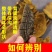 正宗西藏野生金边桑黄桑树桑黄桑黄茶非长白山桑黄