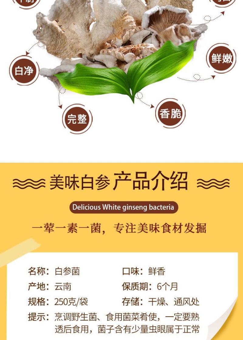 白参菌干货500克云南特产火锅食用菌凉拌炒菜炖汤食材包邮