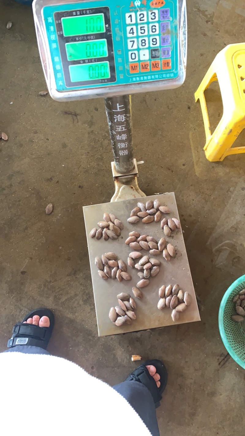 真正的白菜价海鲜花甲油甲批批批发价