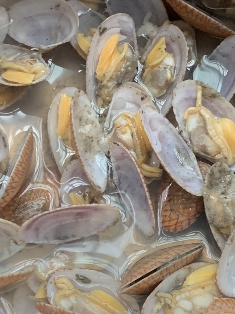 鼎鲜水产贸易花甲58左右个头油甲白菜价的海鲜
