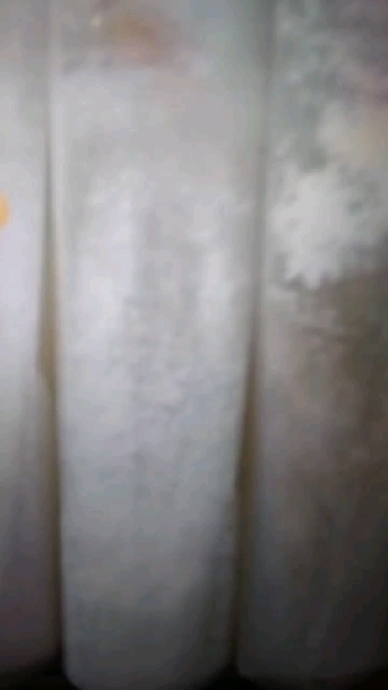 山东盛达菌业供应羊肚菌菌种，及菌需物资，免费包教包销。