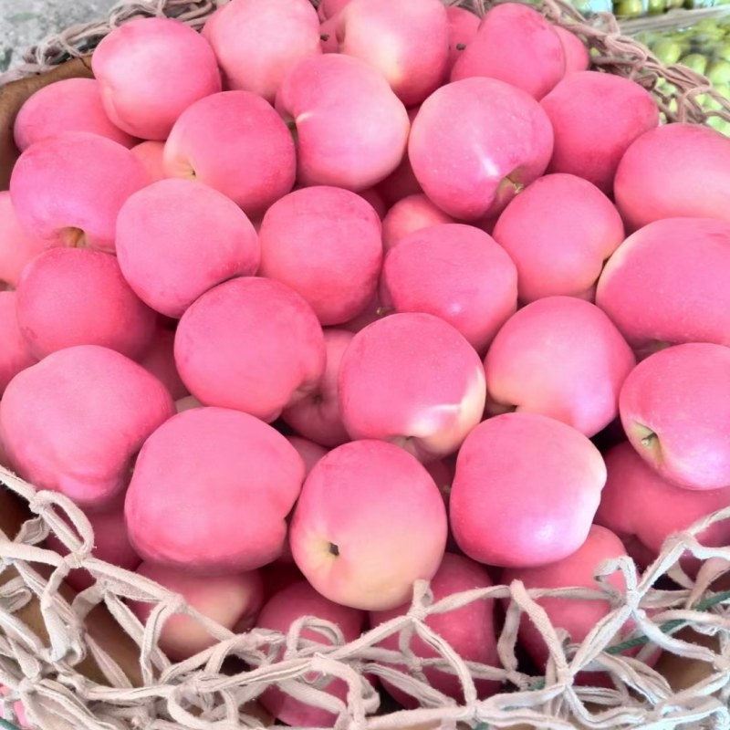 红富士苹果