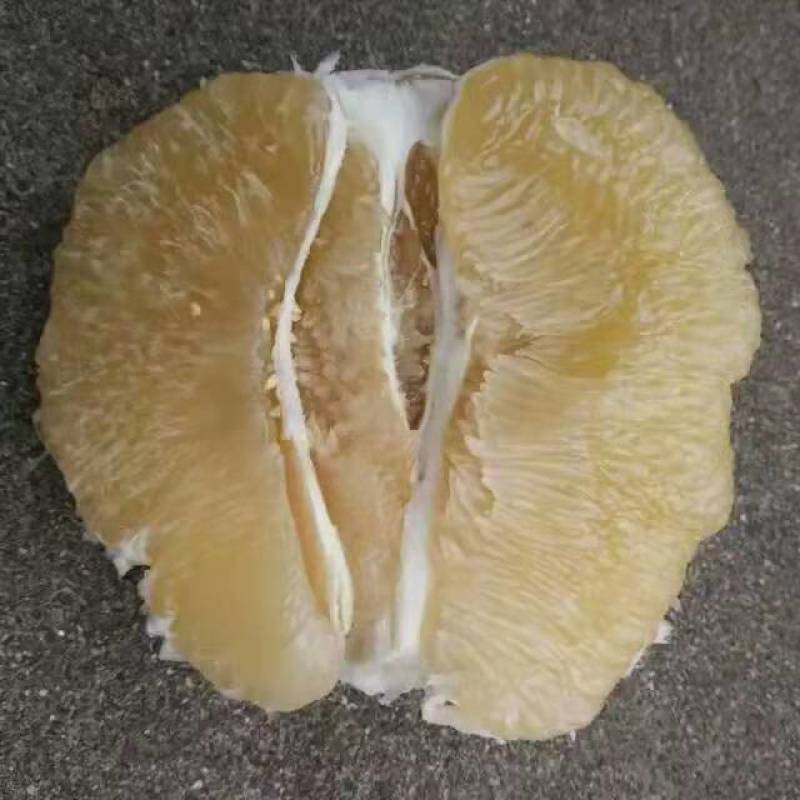 白心蜜柚50斤/袋白心柚中大果白肉蜜柚包邮一件代发