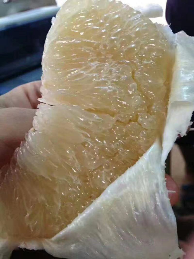 白心蜜柚50斤/袋白心柚中大果白肉蜜柚包邮一件代发