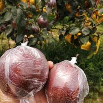 中国红梨，规格85以前，口感脆甜，全国发货。