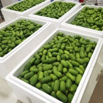 东北特产软枣猕猴，自家果园直发，果子规格15g以上高品质