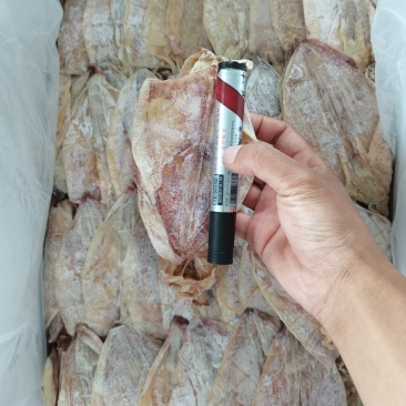 干鱿鱼圆鱿3号