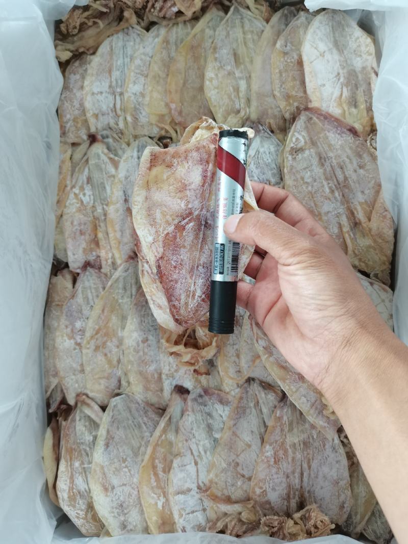 干鱿鱼圆鱿3号