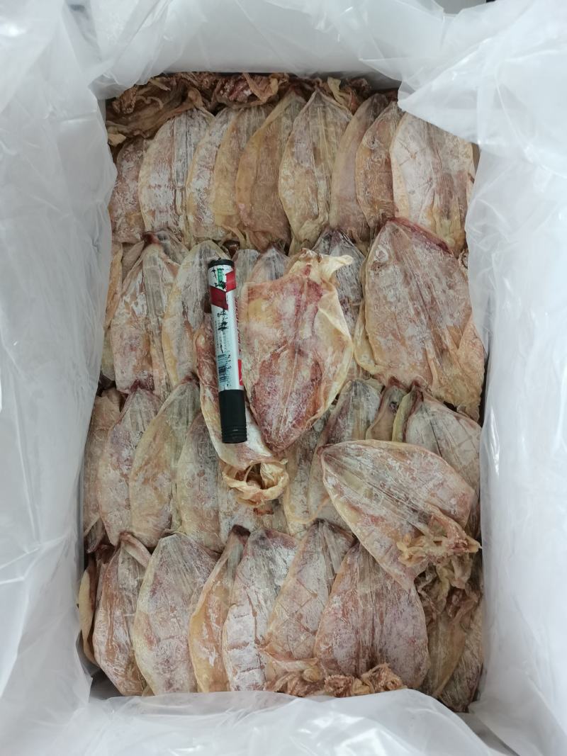 干鱿鱼圆鱿3号