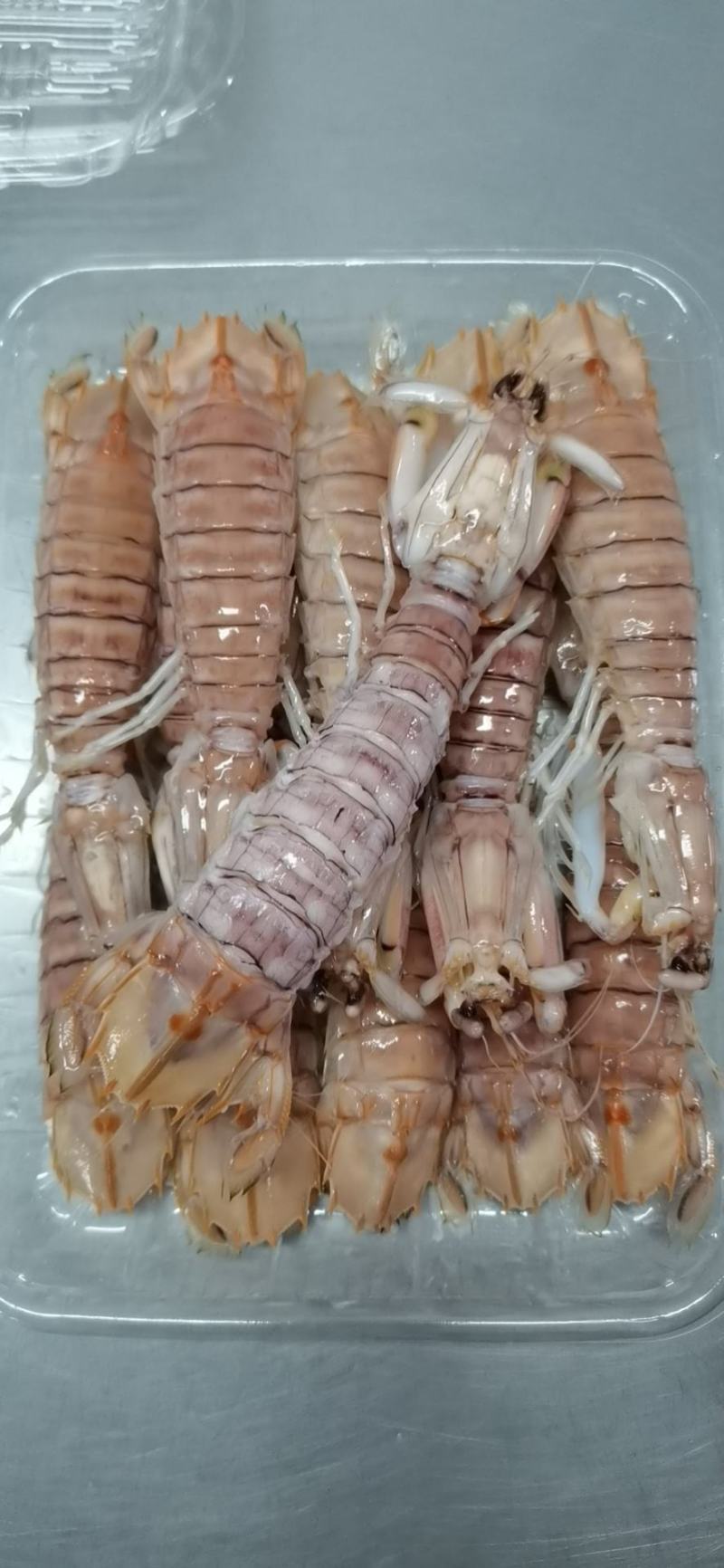 活煮皮皮虾