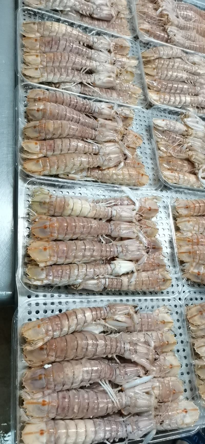 活煮皮皮虾