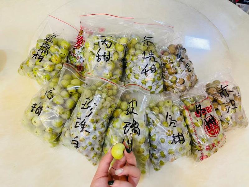 余甘果野生果，栽培果。无农残，入口苦回甘绵长。