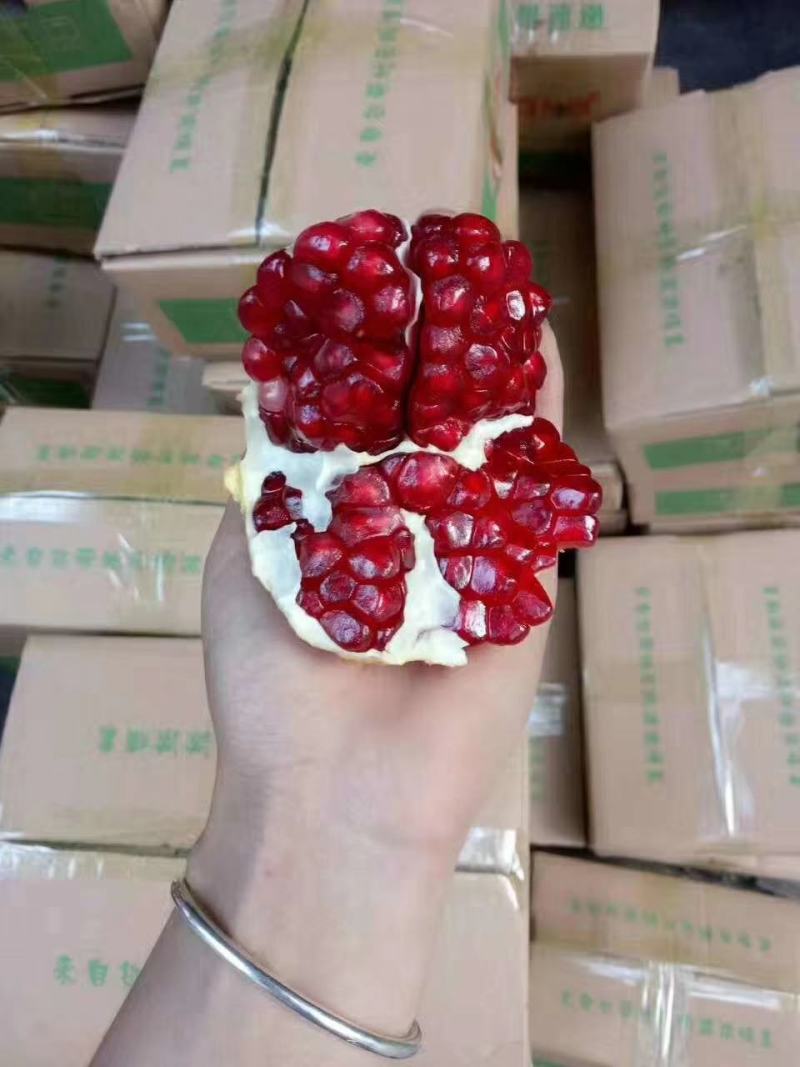突尼斯软籽石榴，产地直发，一手货源，支持一件代发